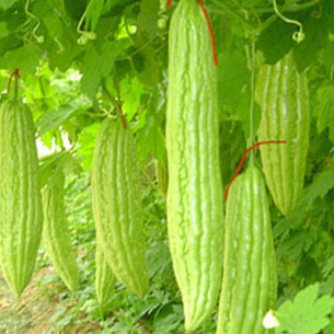 工廠(chǎng)食堂承包